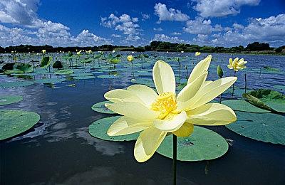 EA上调游戏微交易价格 声称受全球经济形势影响